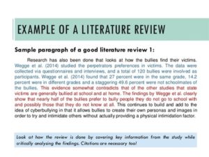 literature reviews include all of the following except for the